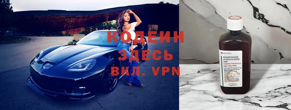 крисы Абаза