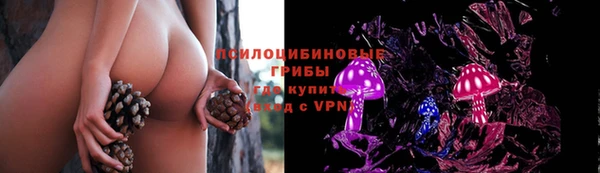 Альфа ПВП Абинск
