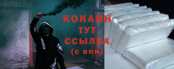 крисы Абаза