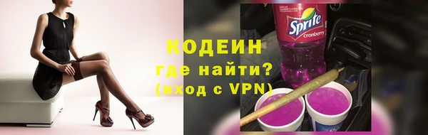 крисы Абаза
