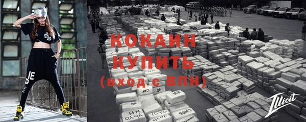 крисы Абаза