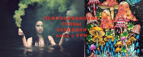 гашик Алексин