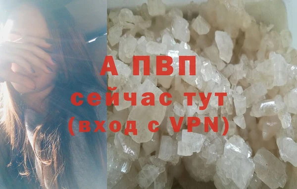 крисы Абаза
