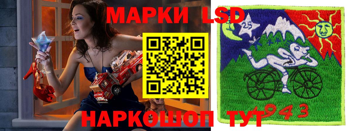 A PVP Новочебоксарск